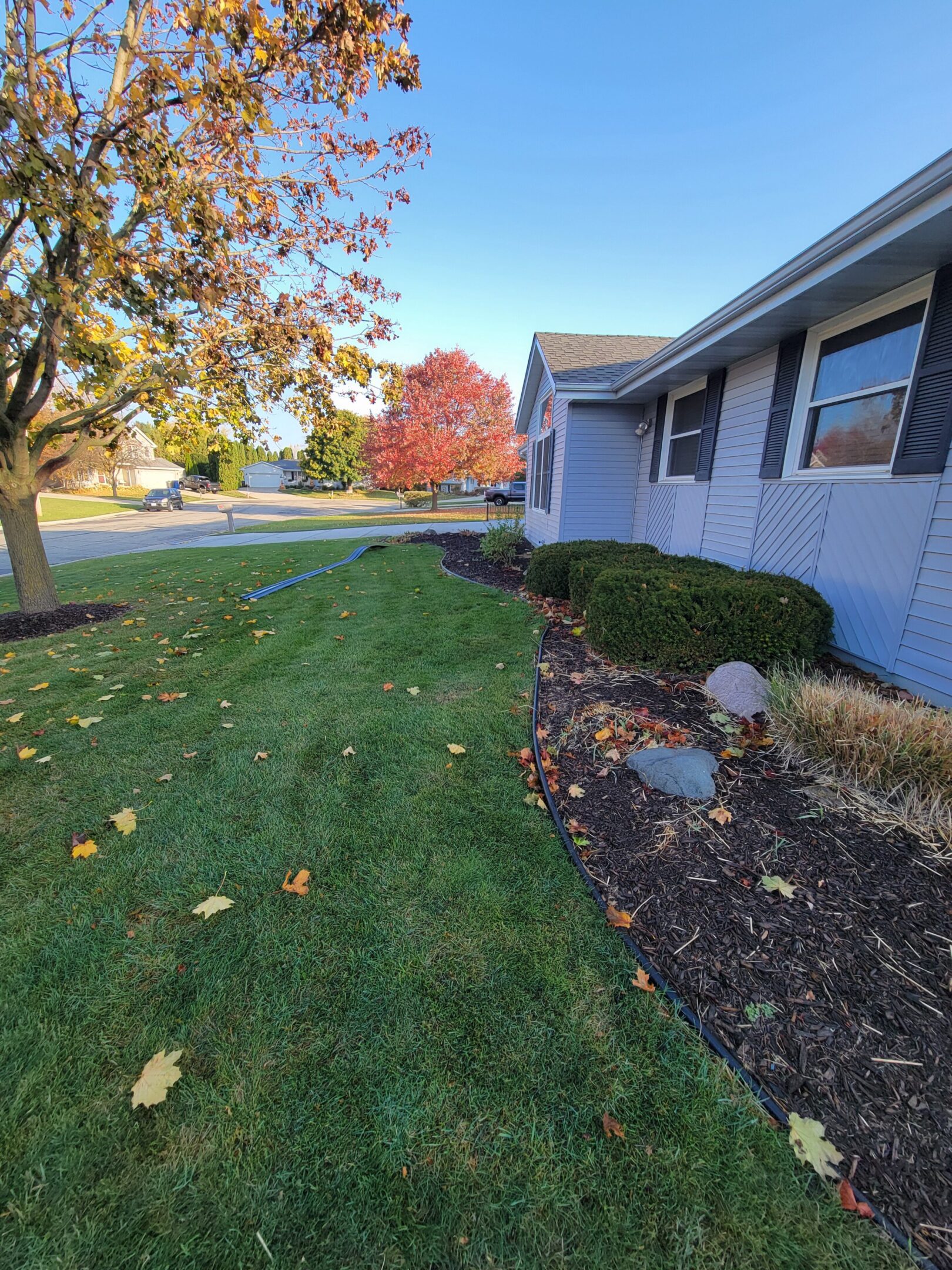 A well-maintained lawn and garden beside a blue house on a clear autumn day.