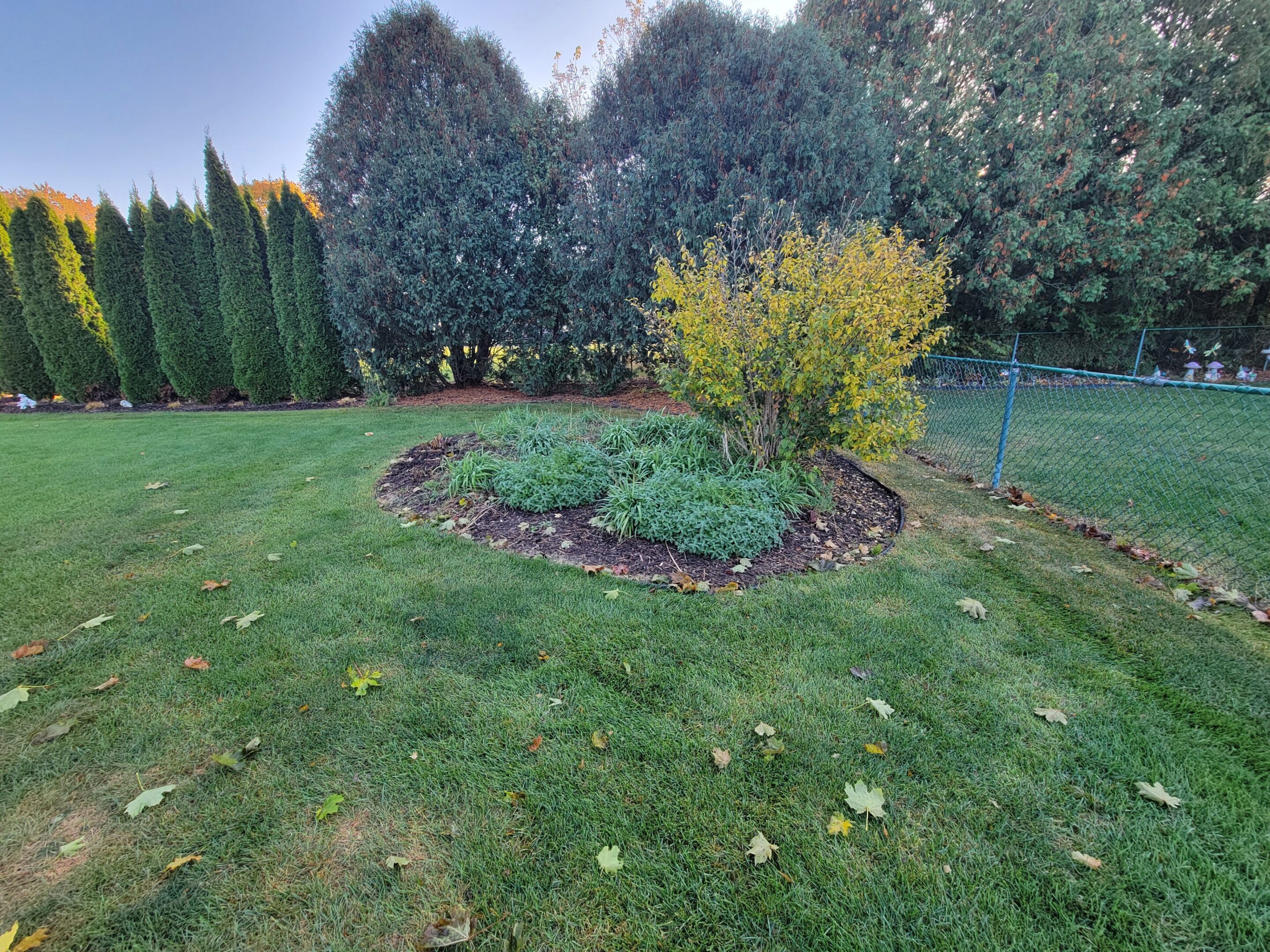 Curved garden bed with shrubs and green lawn under tall trees.