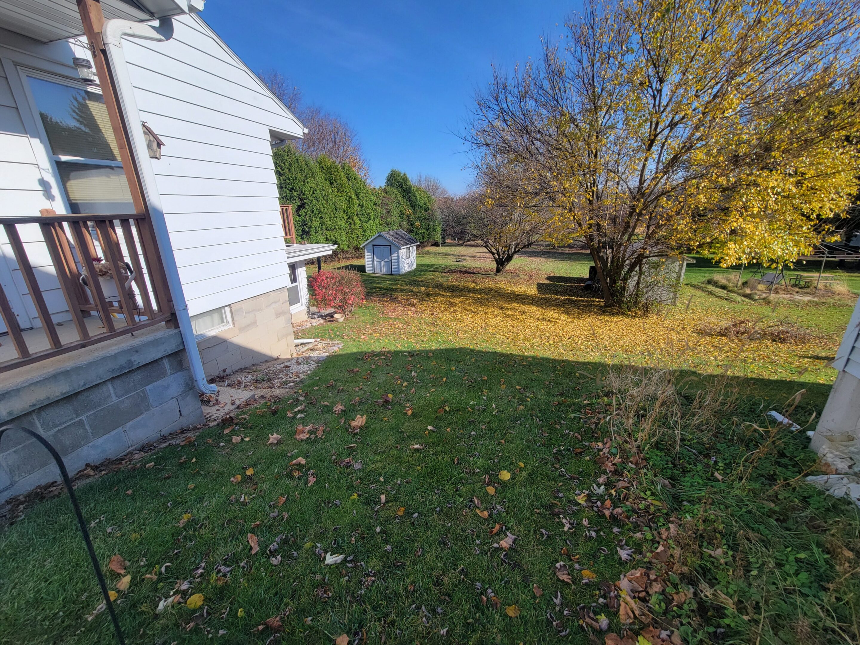 Sunny backyard with green grass and autumn trees near a white house.