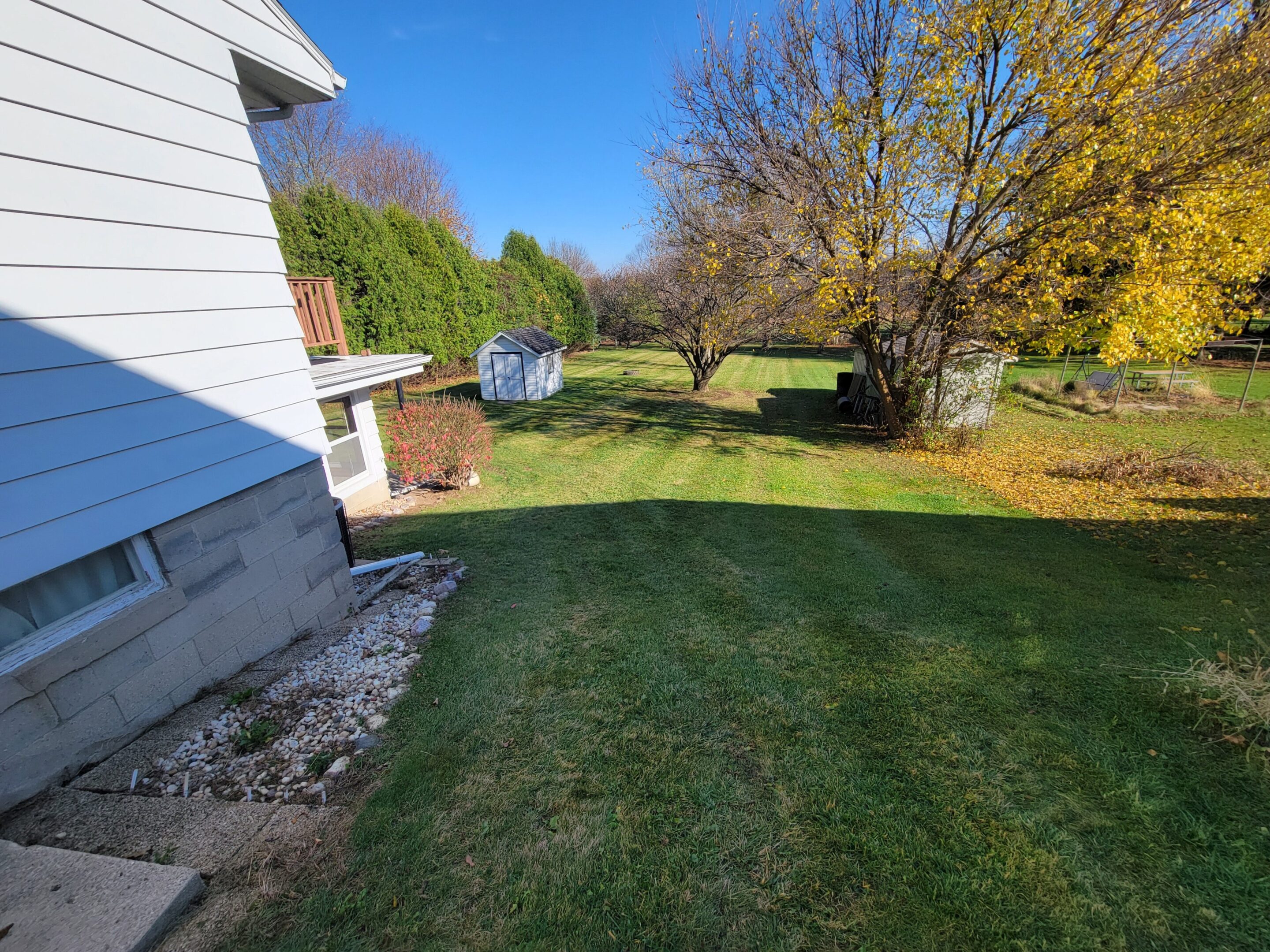A sunny backyard with green grass and trees showing autumn colors.