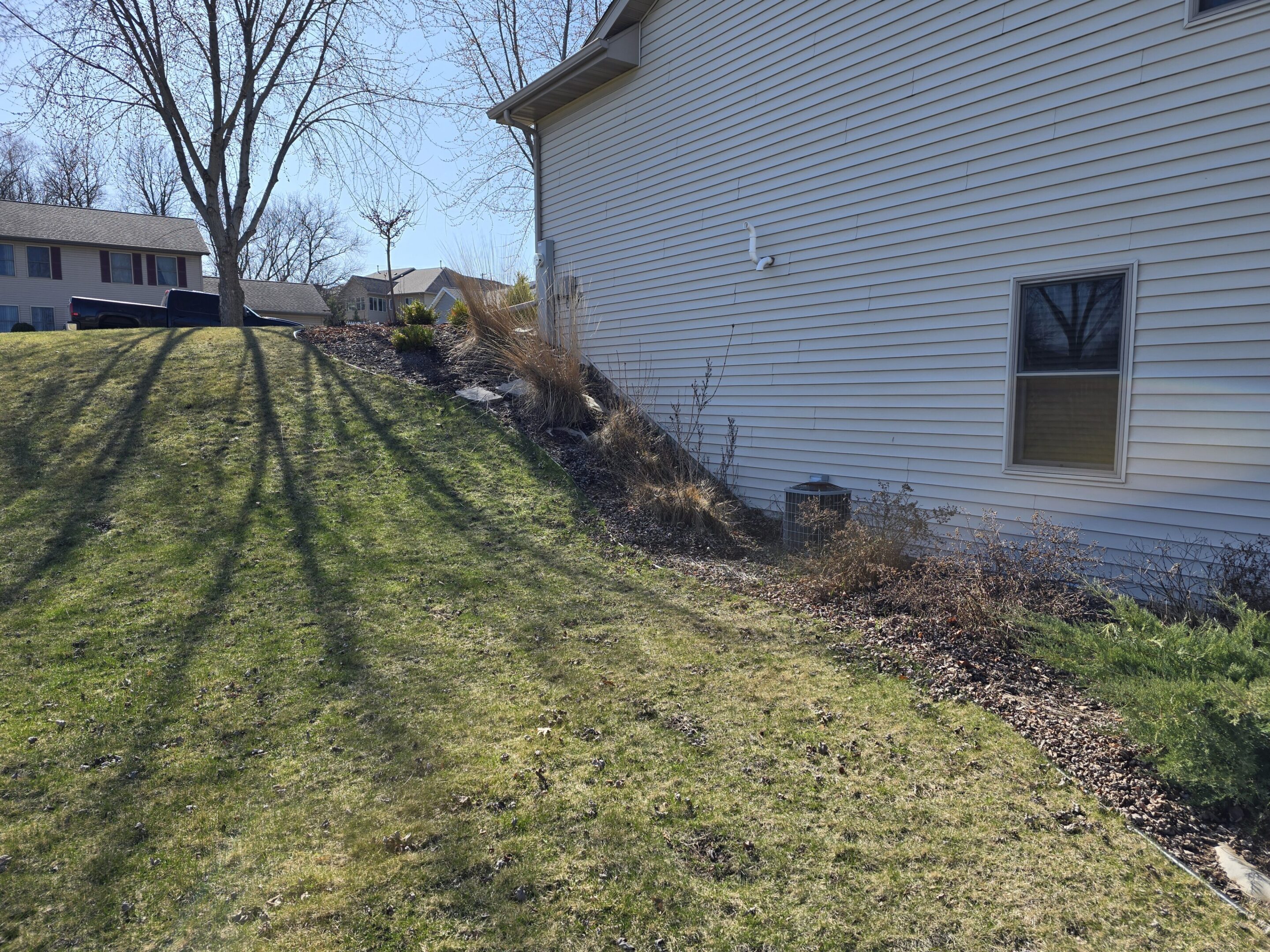 A grassy backyard with shadows from a tree and a house on the right.
