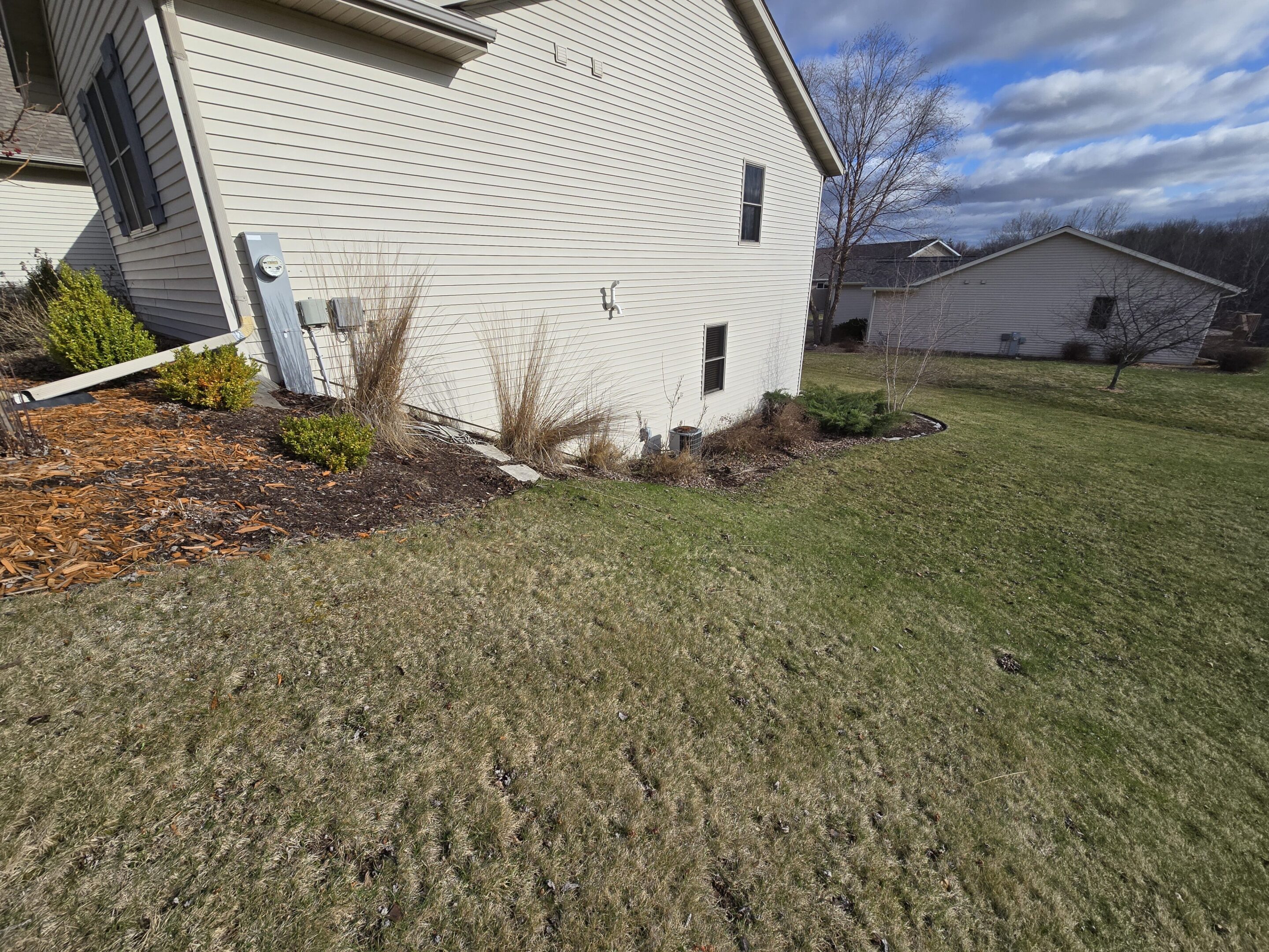 Landscaped garden bed with ornamental grasses and shrubs beside a house.