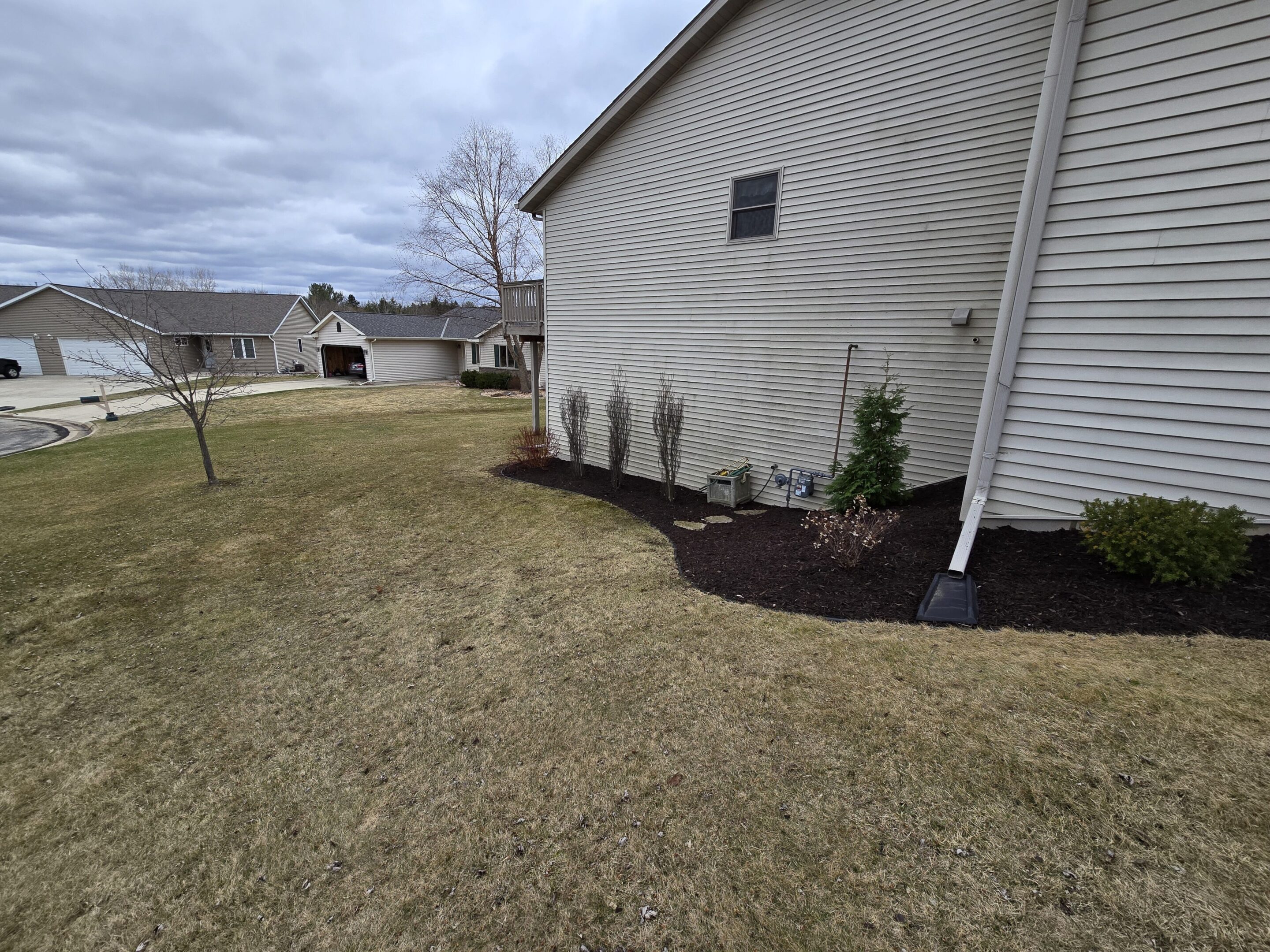 Mulched garden bed with young plants along the side of a house on a cloudy day.