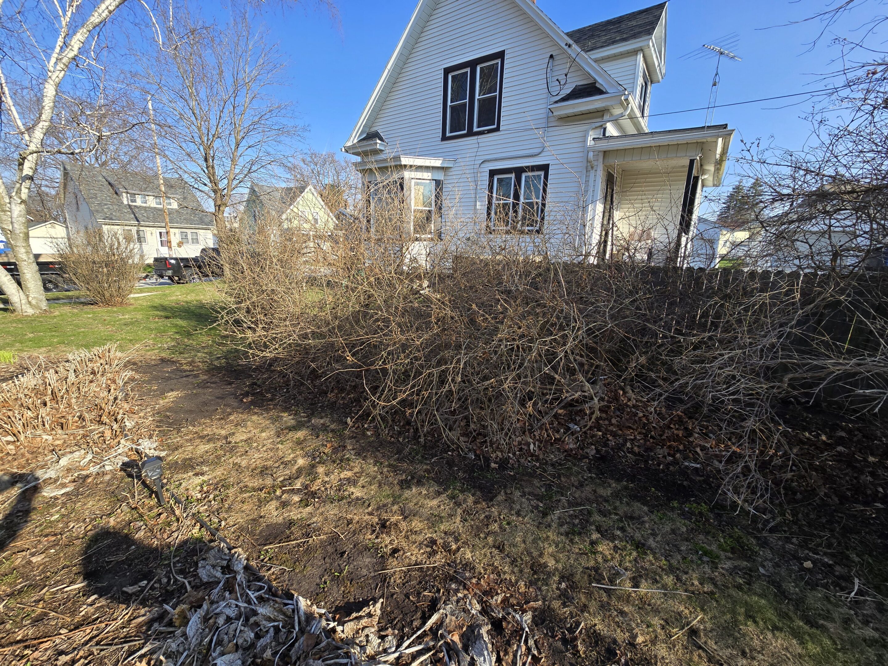 A house with an overgrown yard and leafless bushes under a clear blue sky.
