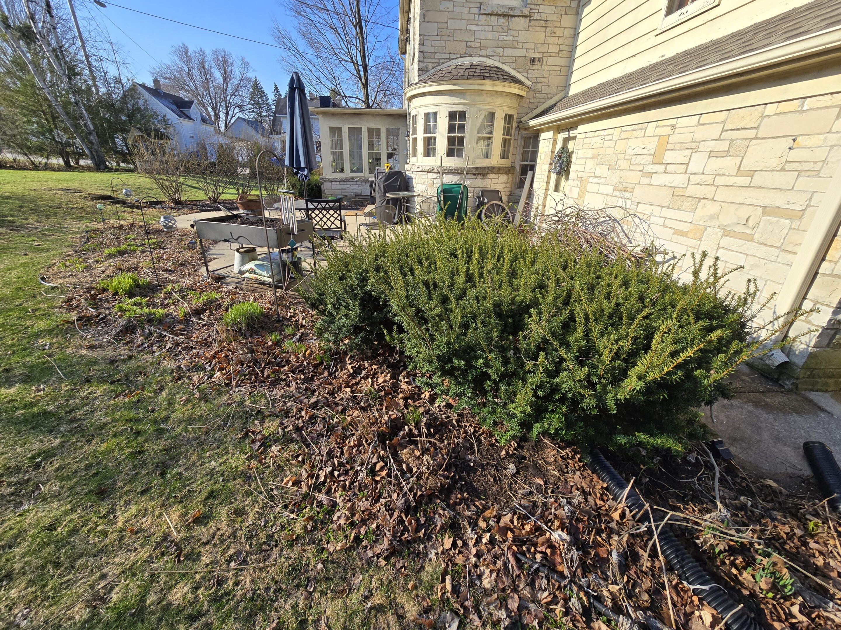 Green shrubbery and garden bed near a stone building on a sunny day.