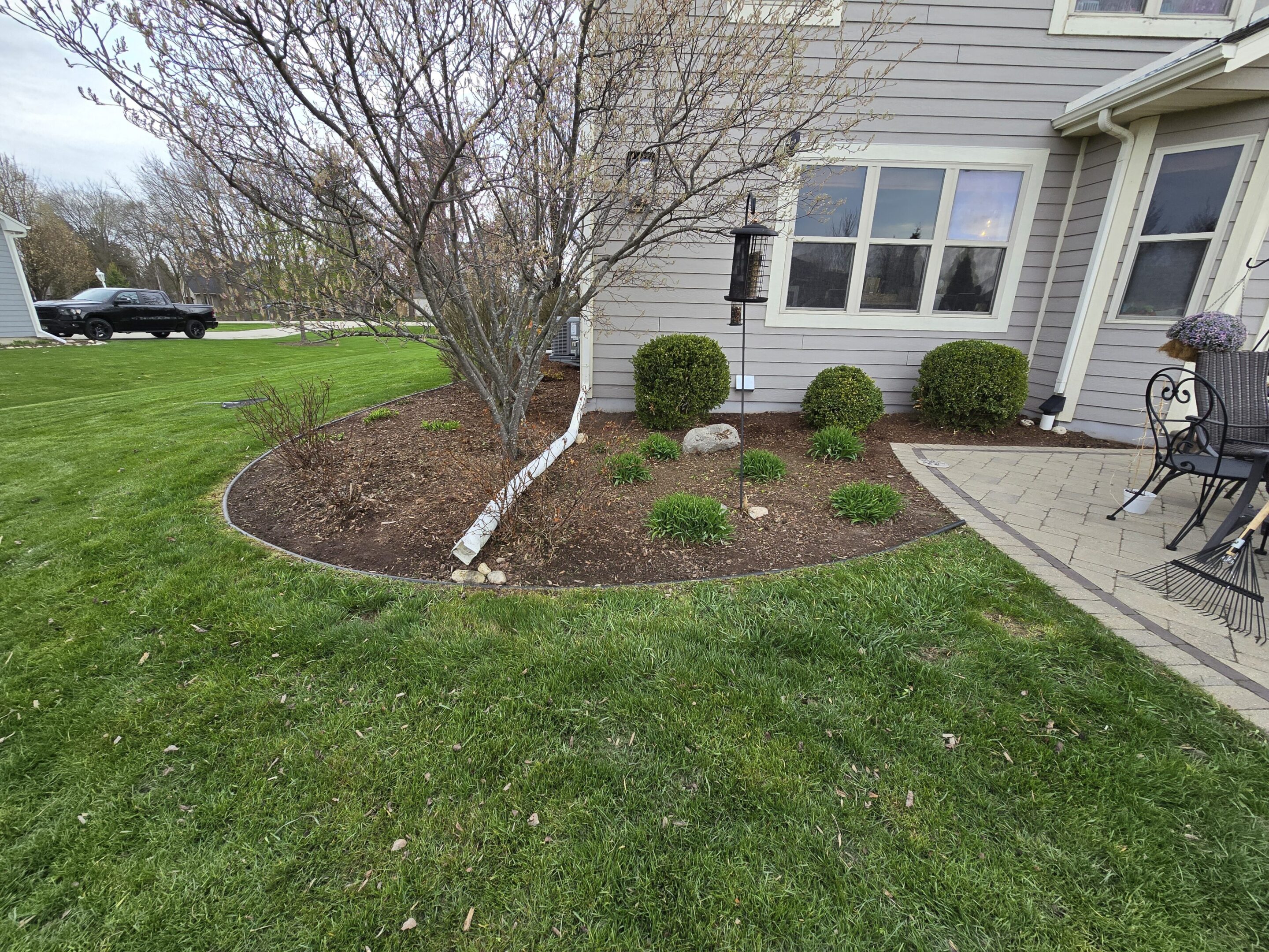 Well-maintained garden bed with mulch and trimmed bushes near a house.
