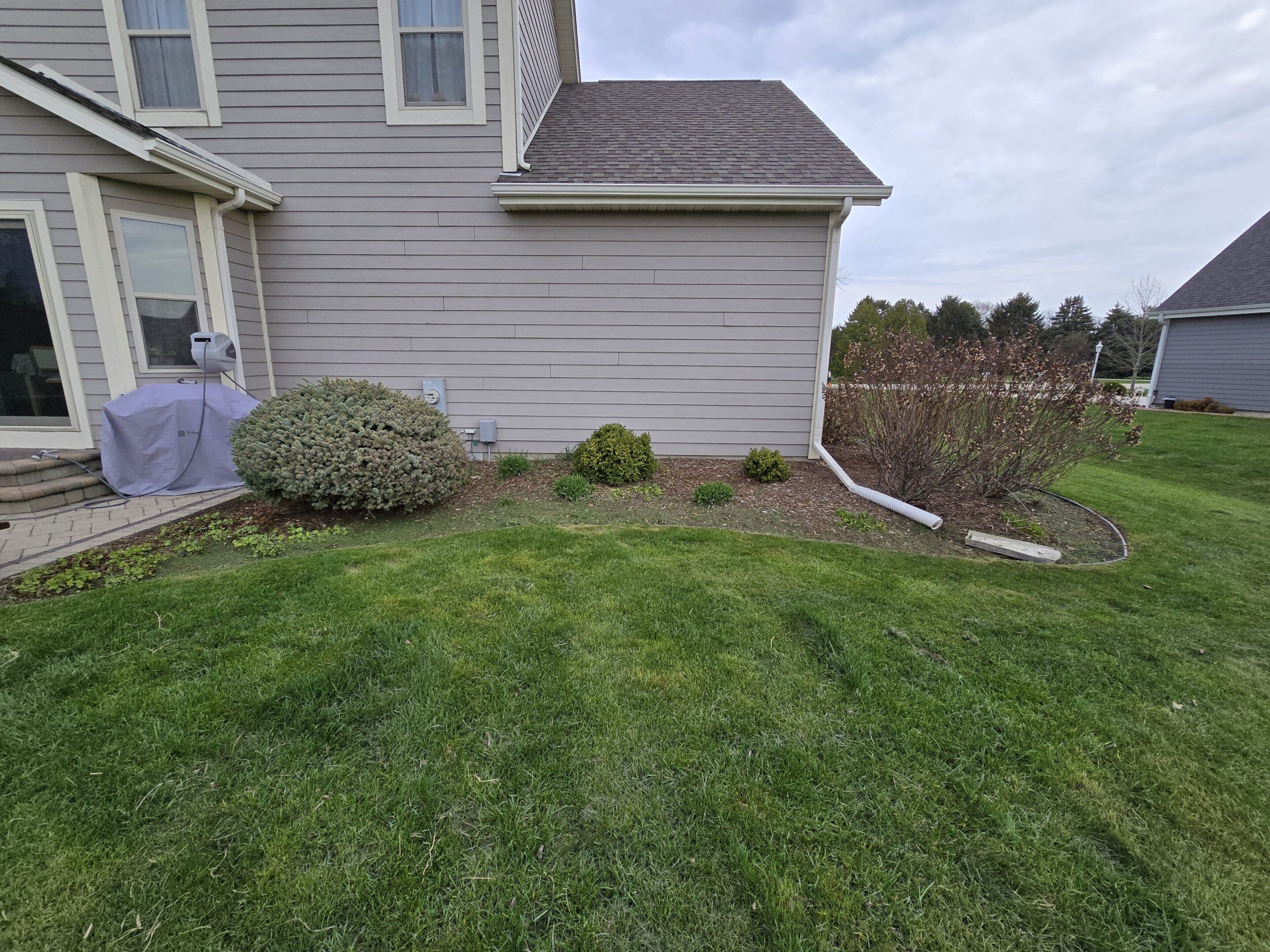 A well-maintained lawn with bushes near a house's exterior wall.