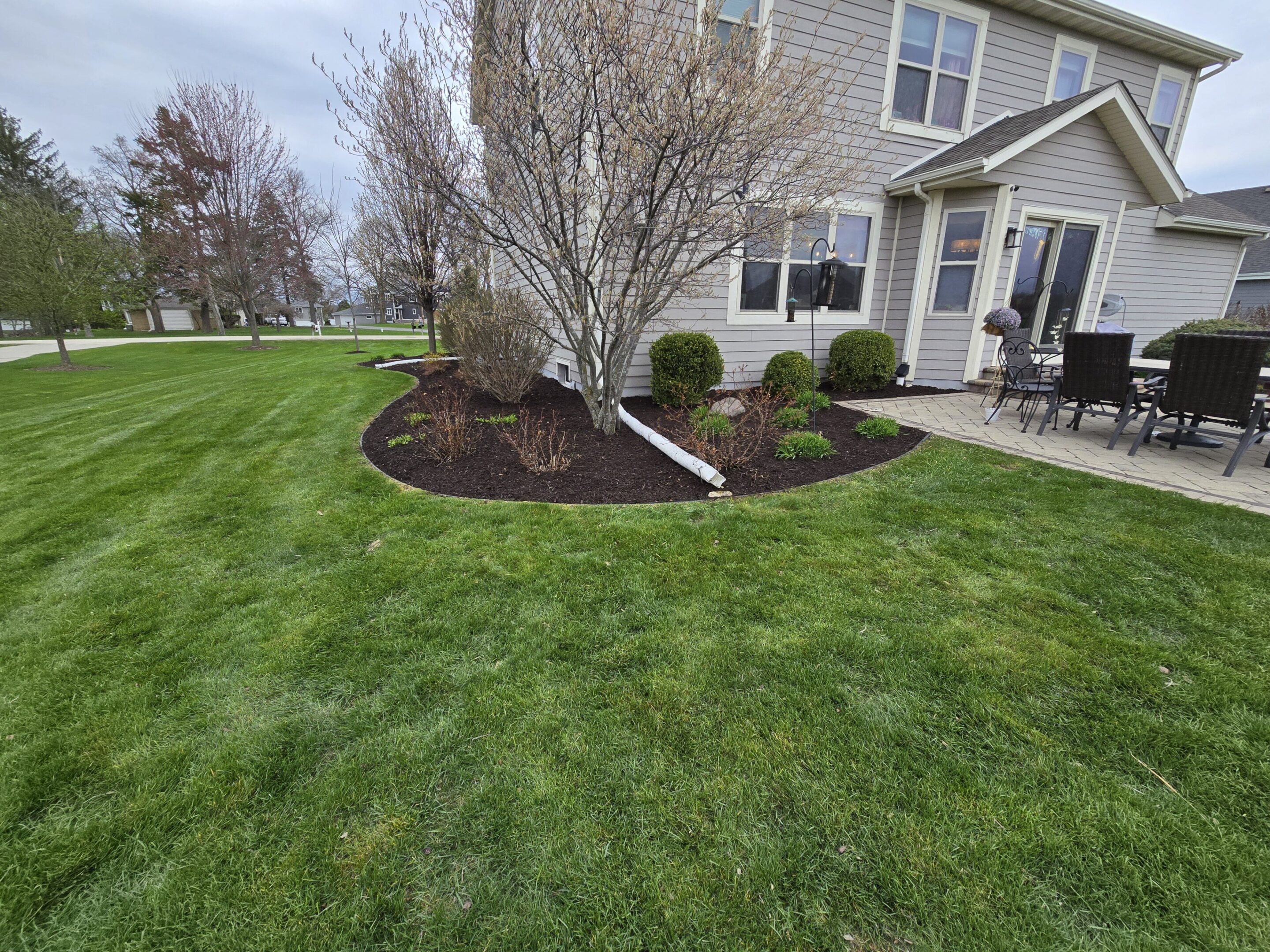 Well-manicured garden bed with blooming tree and green lawn.