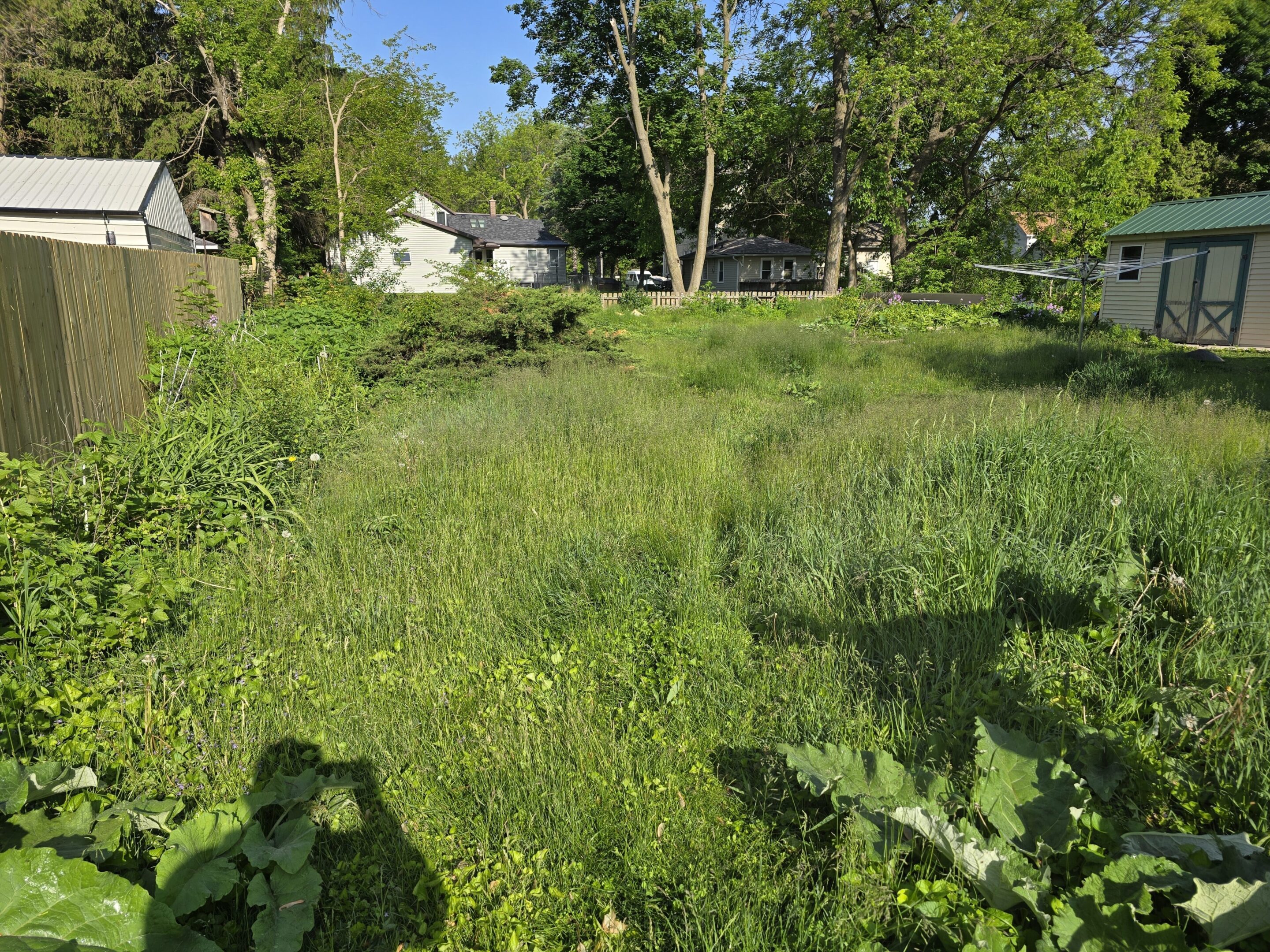 A grassy backyard with trees and a shadow of a person taking a photo.