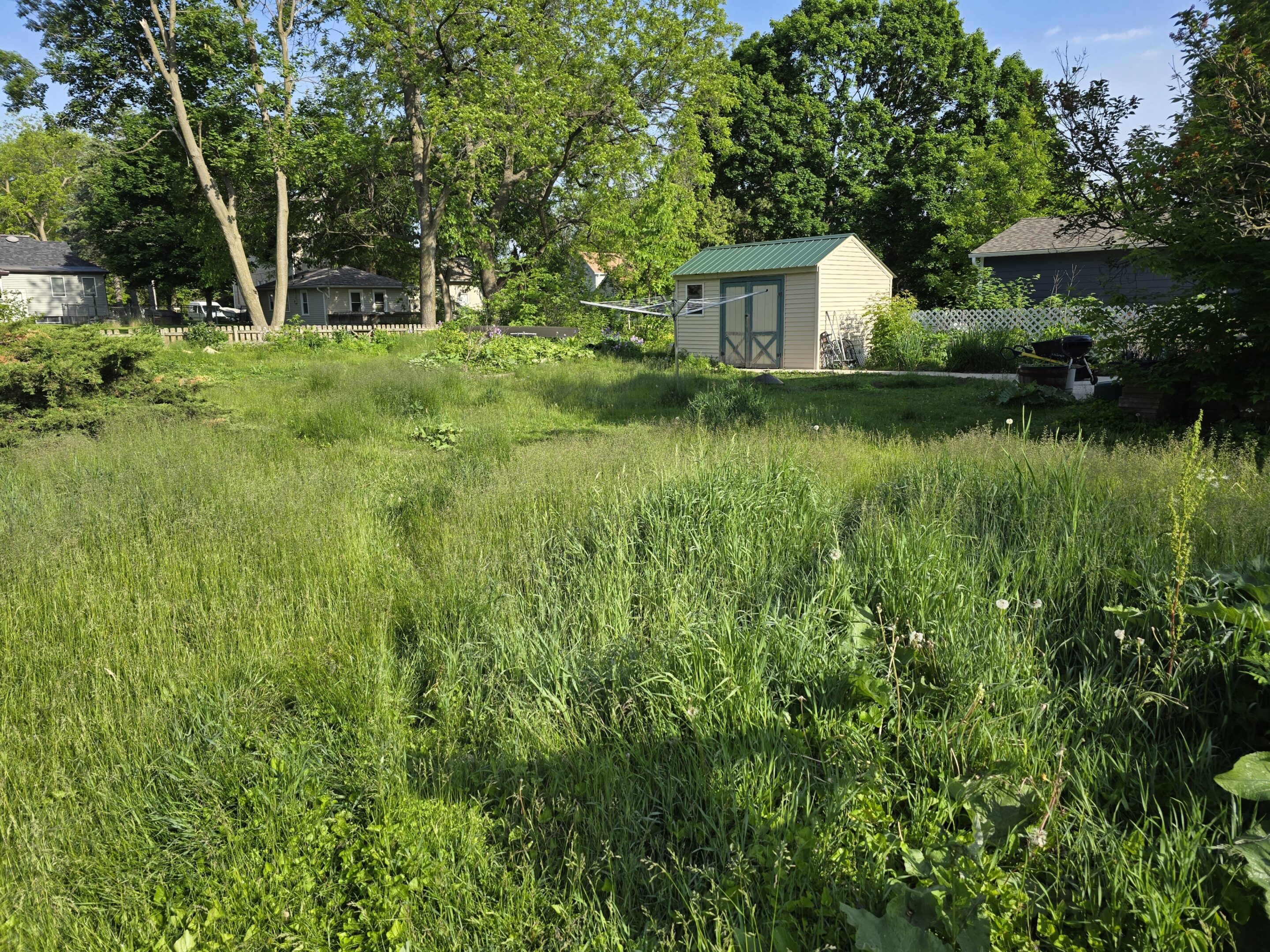 A lush green garden with tall grass and trees under a bright sky.