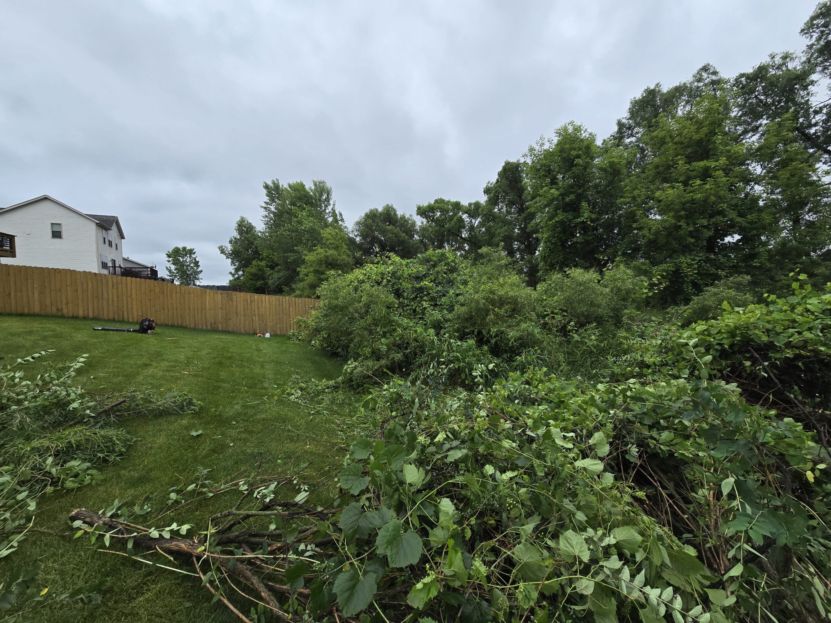 A fallen tree after a storm in a backyard with a wooden fence.