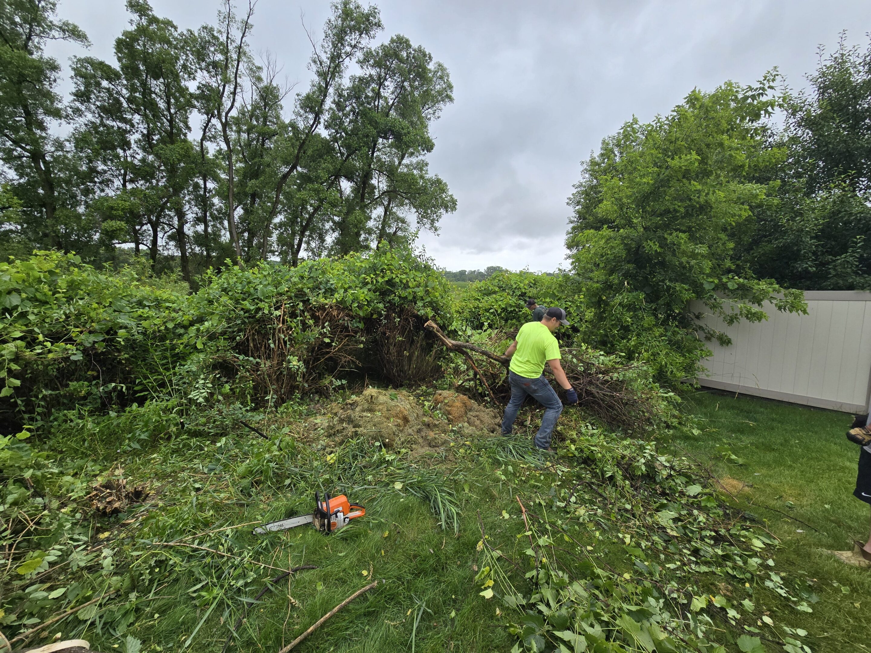 Person clearing fallen trees on a cloudy day.