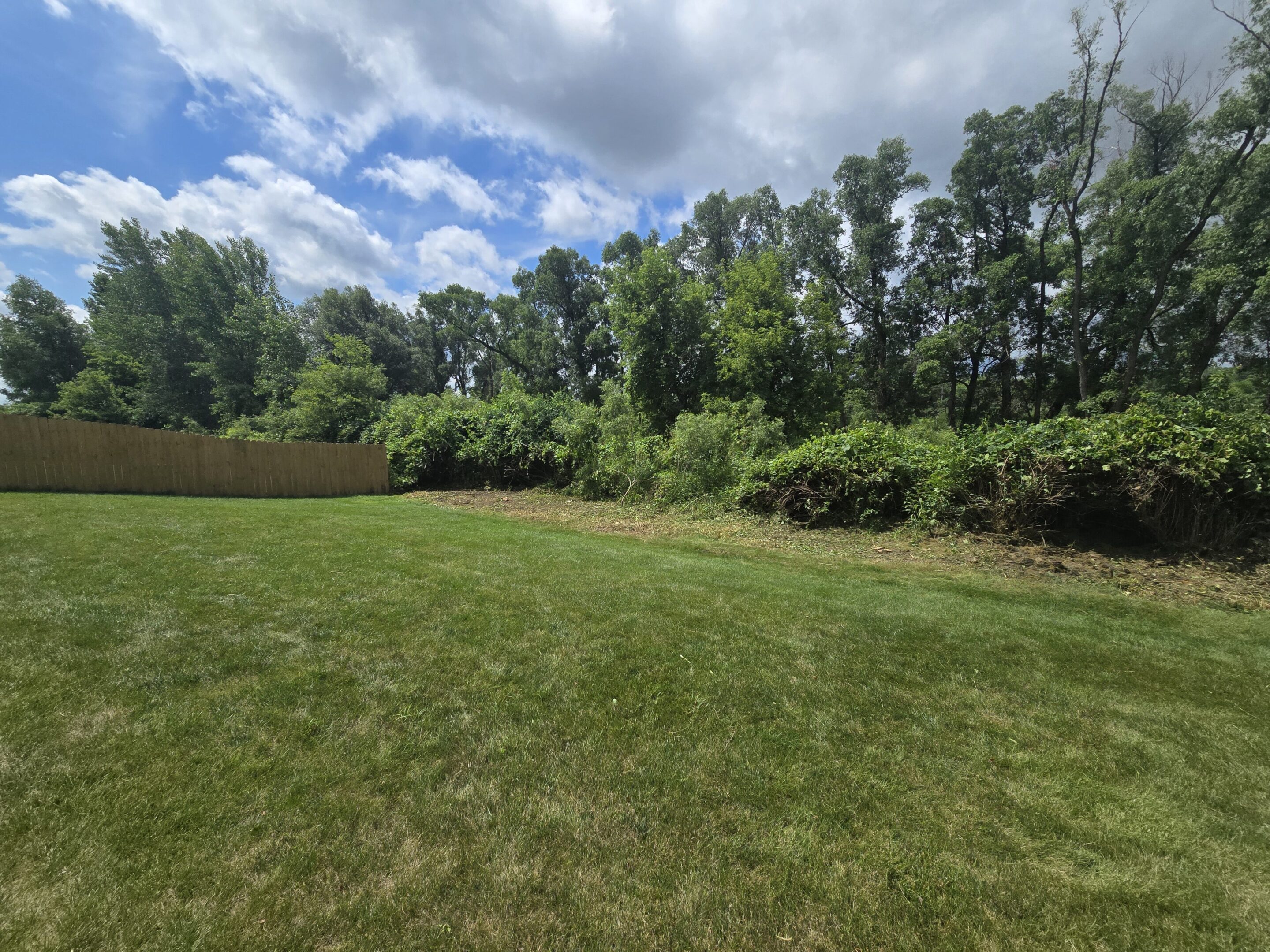 A grassy field with trees under a partly cloudy sky.