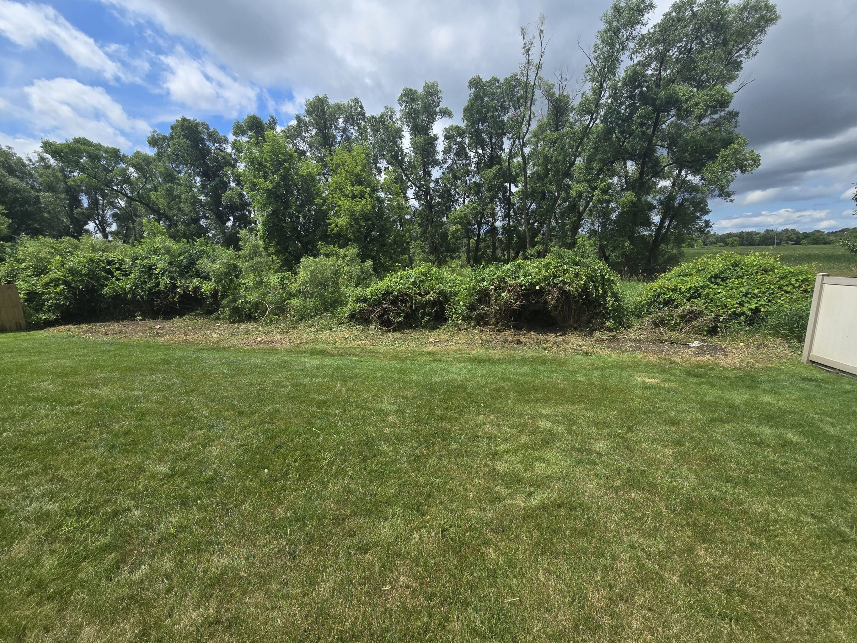 A grassy field bordered by dense green trees under a partly cloudy sky.