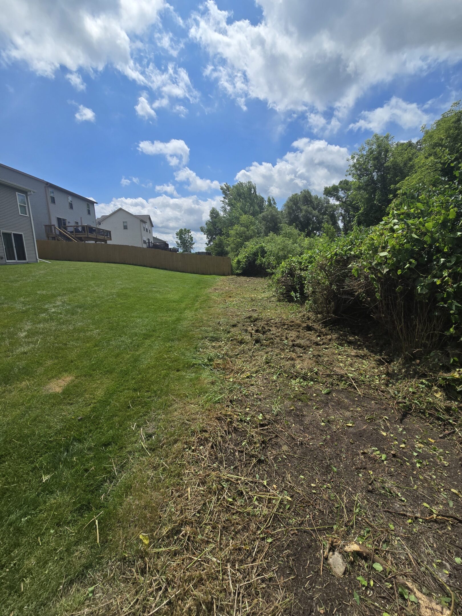 A spacious backyard with freshly cleared ground and green grass under a blue sky.