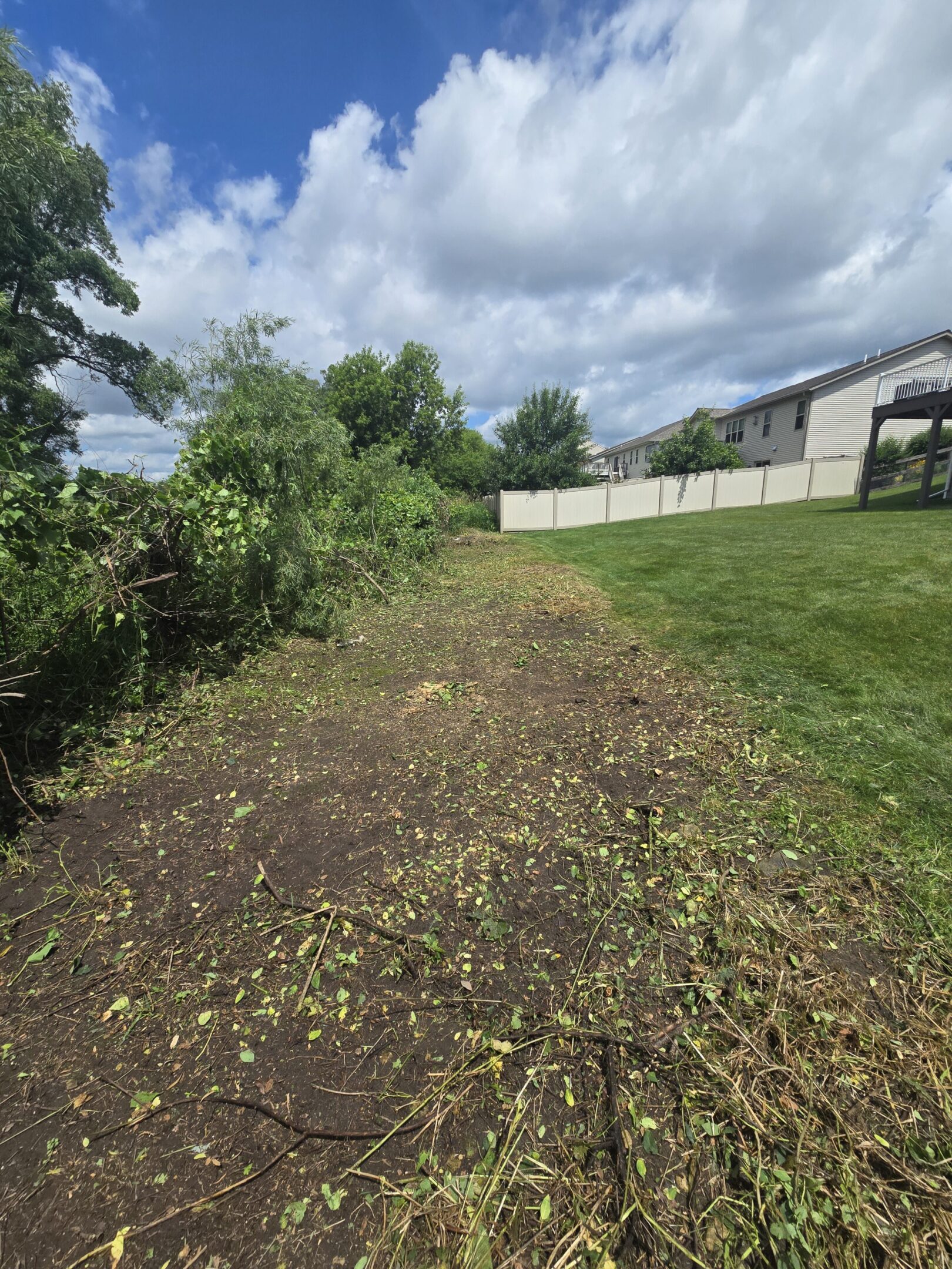 Cleared garden bed with greenery and cloudy sky.