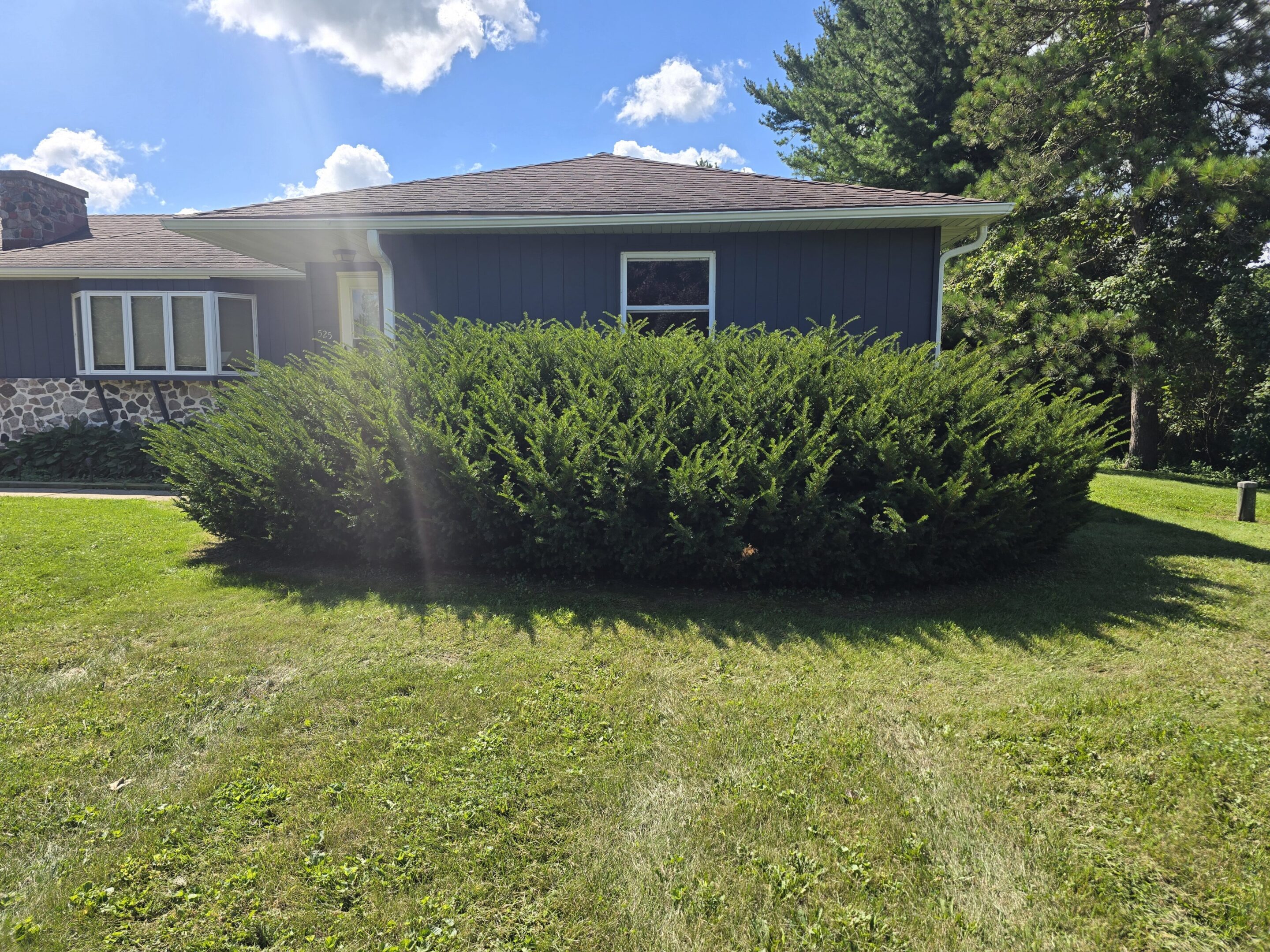 A house with a large bush in front and a sunny sky.