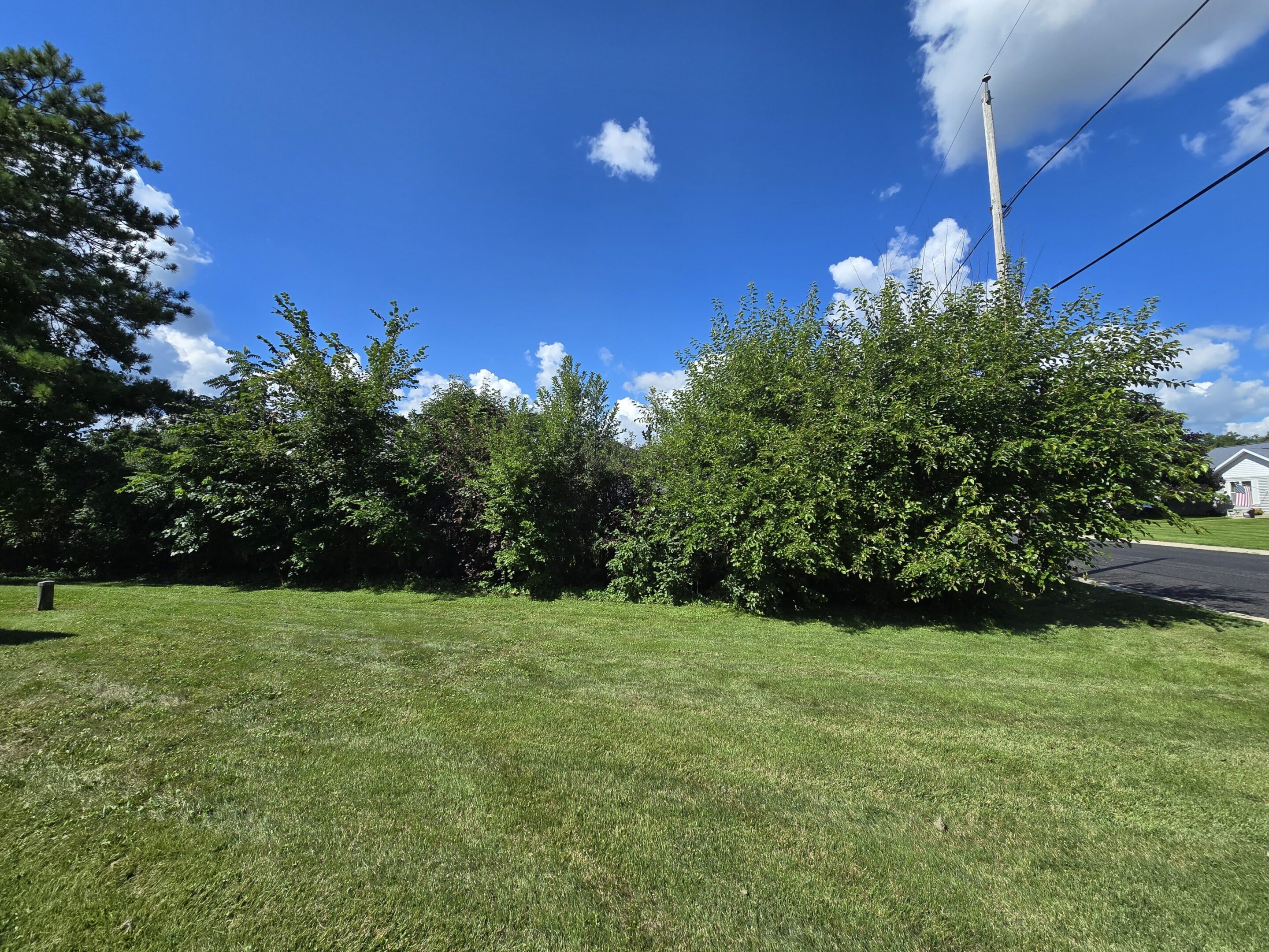 A grassy field with trees under a bright blue sky.