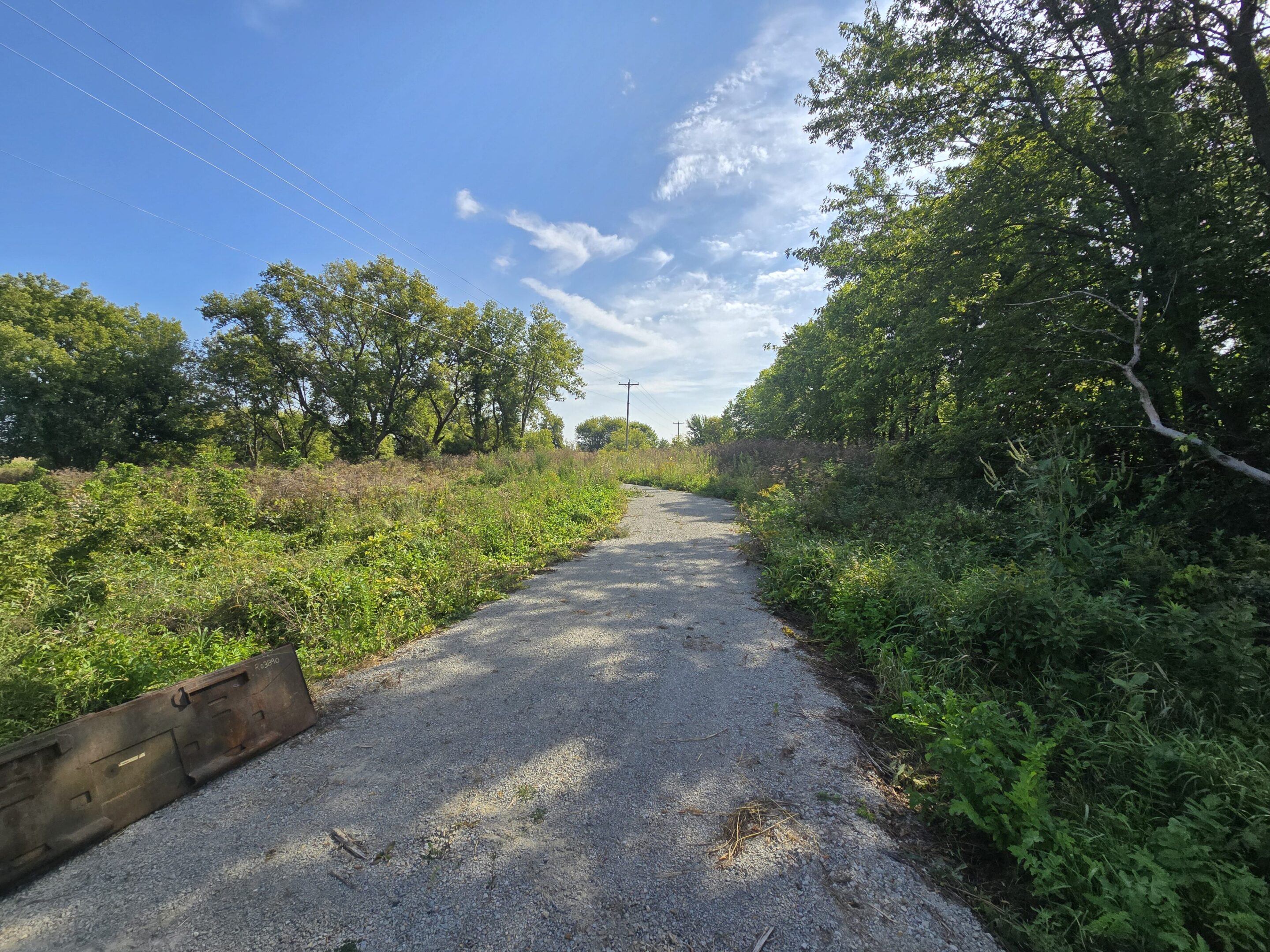 A sunny gravel path surrounded by lush green trees under a blue sky.