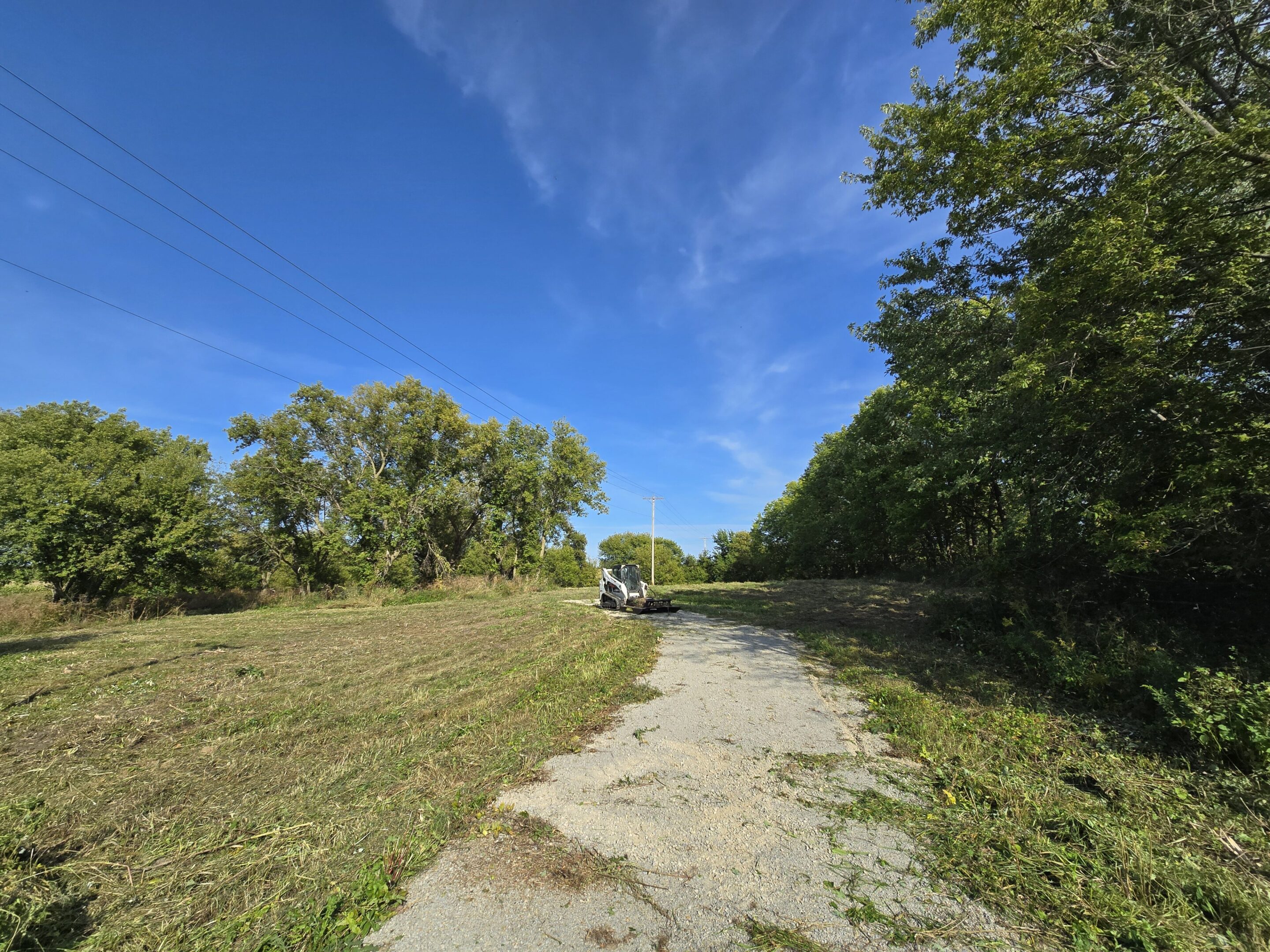 A sunny pathway bordered by green trees under a clear blue sky.