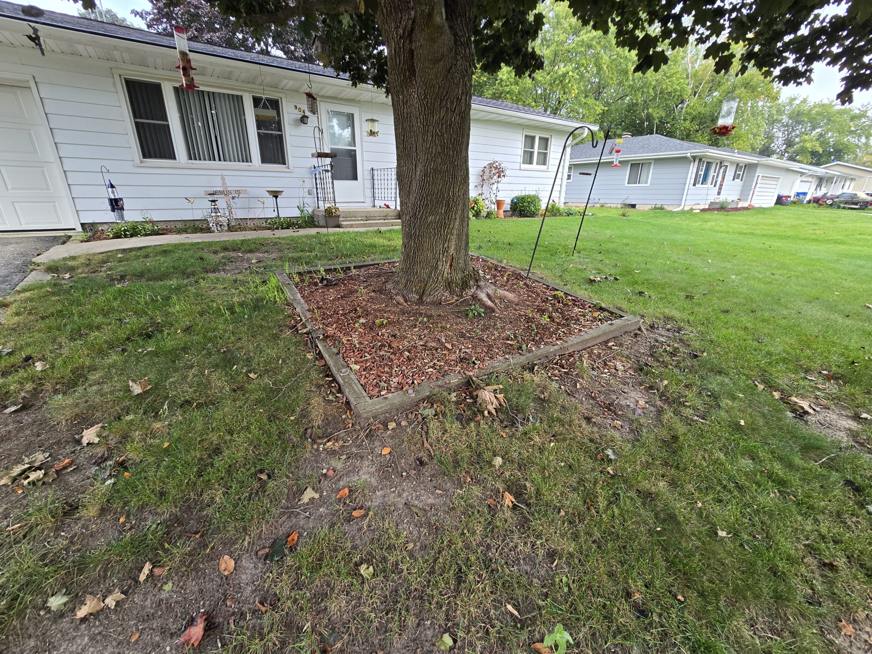 A tree surrounded by a brick border in a grassy yard.