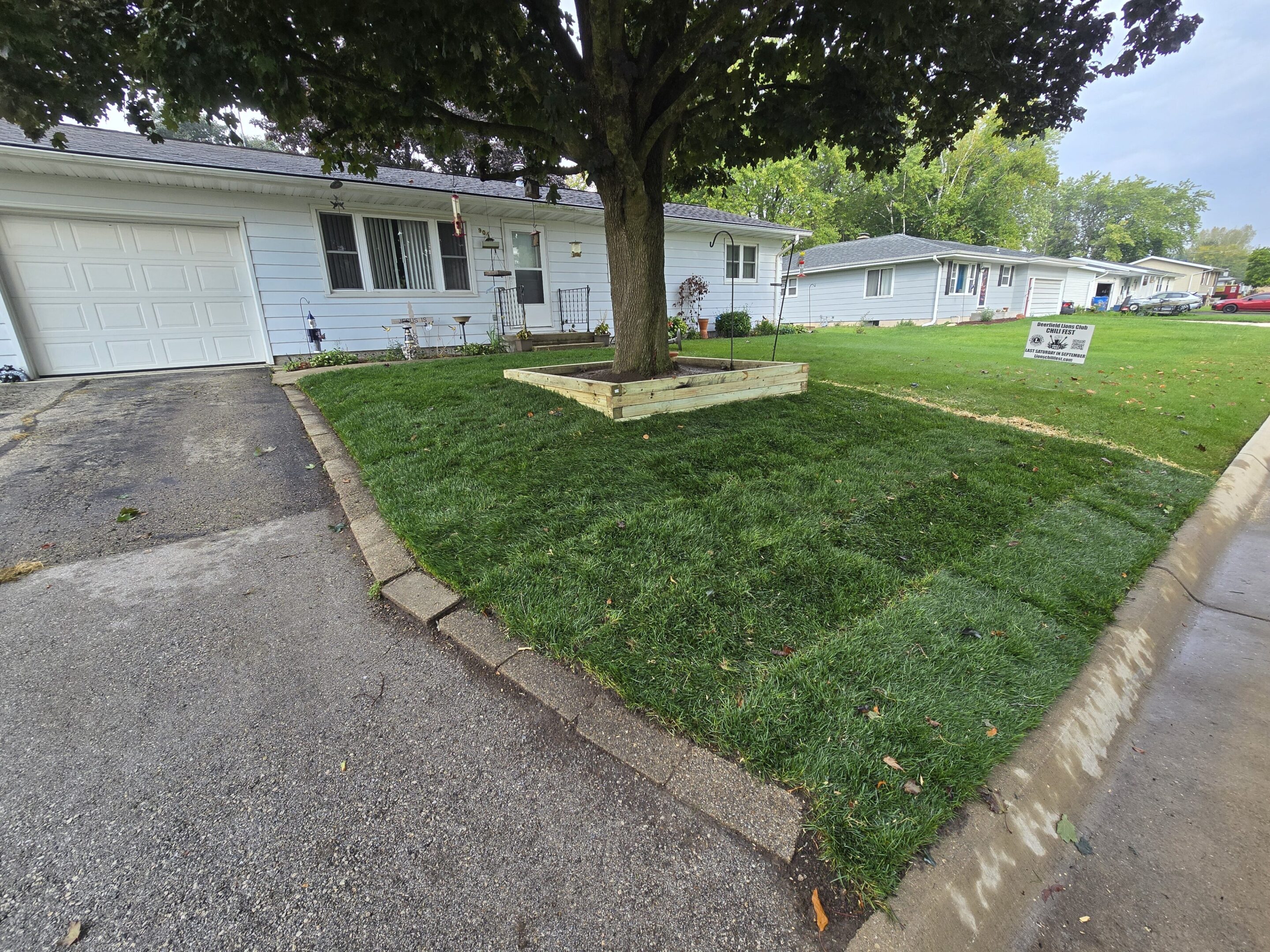 Green lawn with a large tree and white houses in the background.