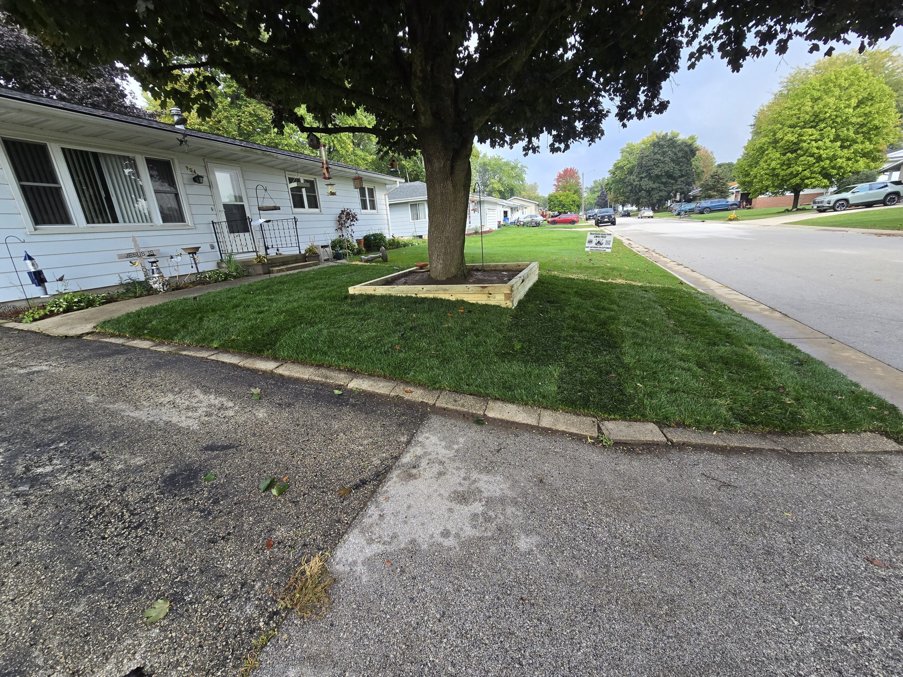 Freshly laid sod around a tree in a residential lawn.